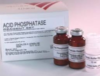 Acid phosphatase